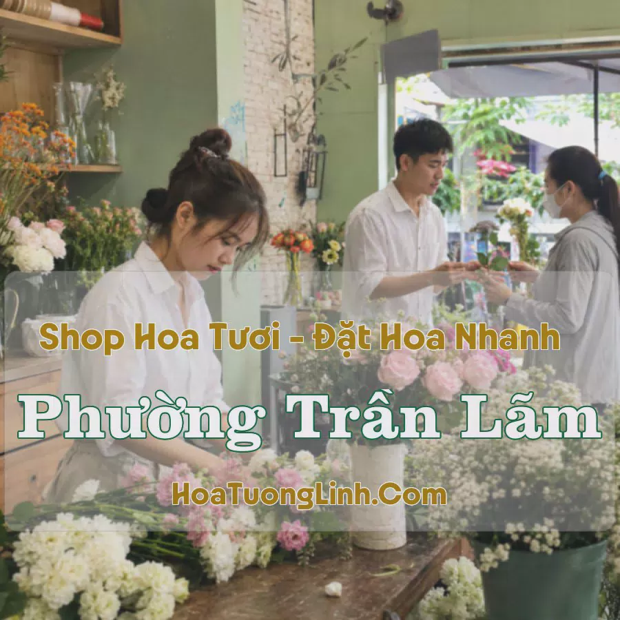 Shop Hoa Tươi Phường Trần Lãm, Hưng Yên - Giao Tận Nơi