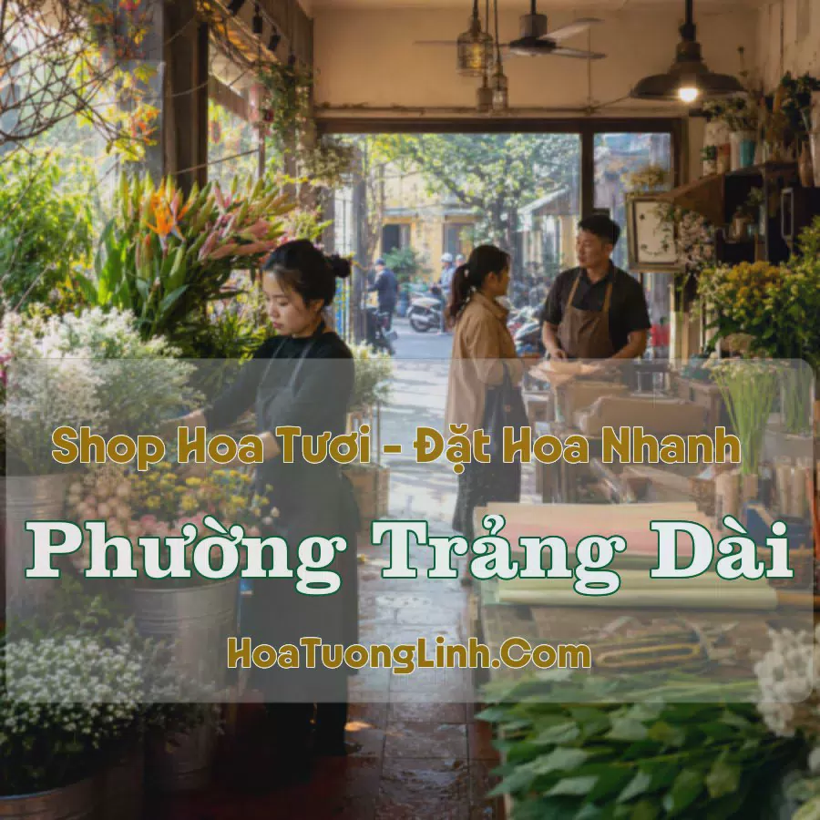 Đặt Hoa Phường Trảng Dài, Đồng Nai - Tư Vấn Mẫu Phù Hợp