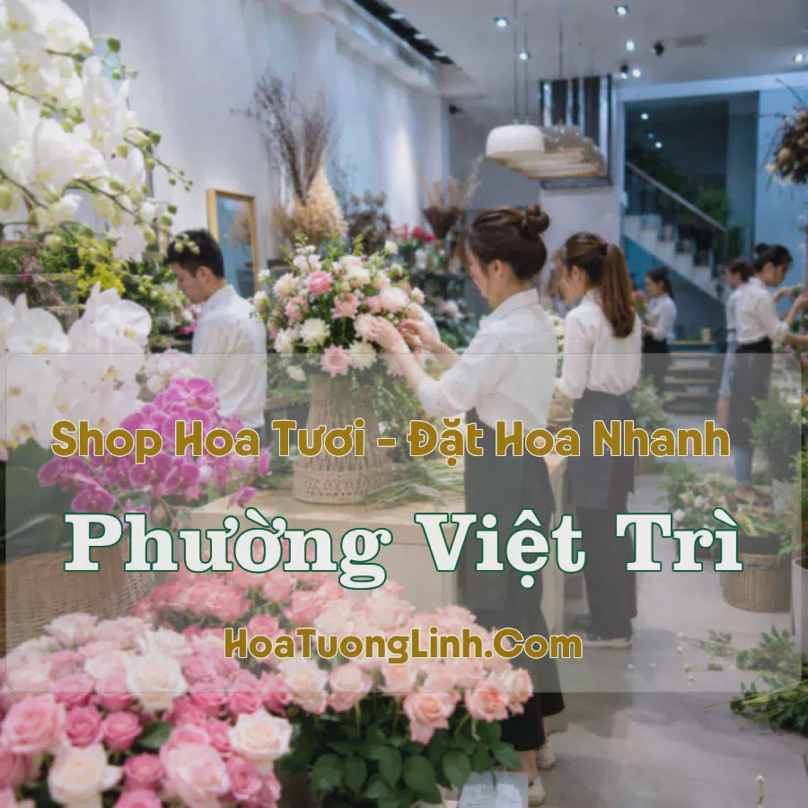 Cửa Hàng Hoa Tươi Phường Việt Trì, Phú Thọ - Nhiều Mẫu Đẹp