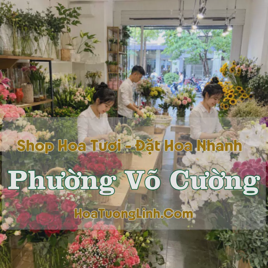Giao Hoa Tươi Phường Võ Cường, Bắc Ninh - Liên Hệ Chọn Mẫu