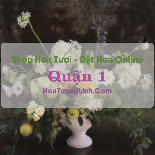 Shop Hoa Tươi Quận 1 - TP.HCM