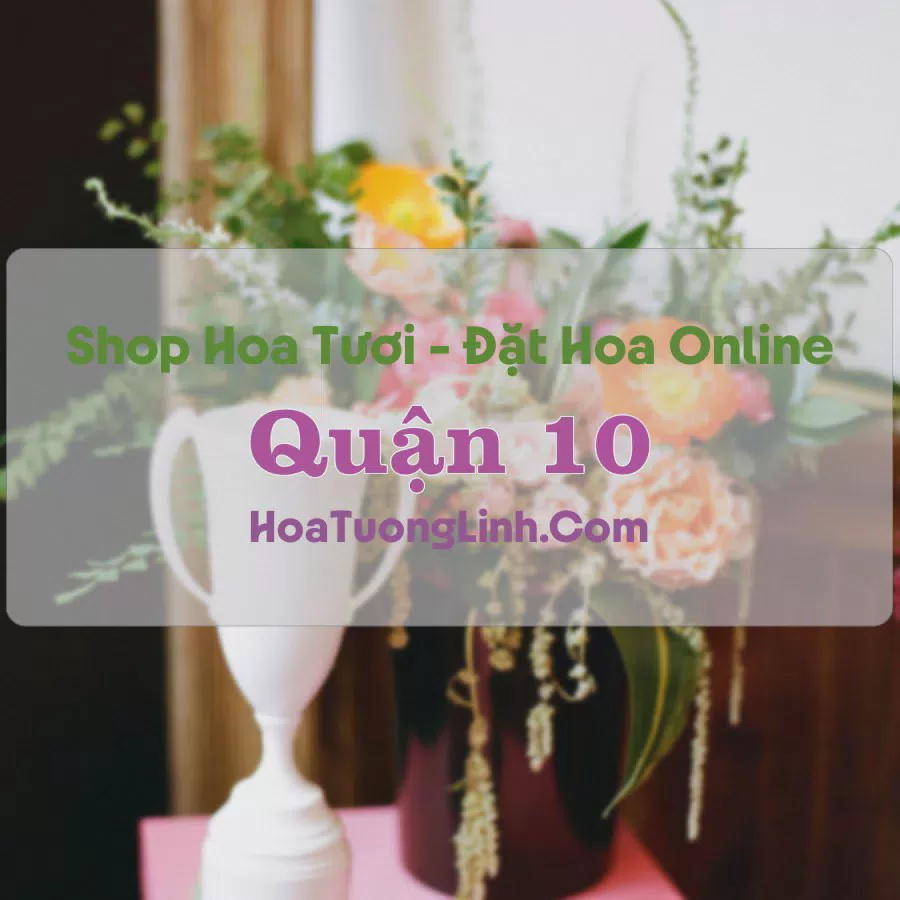 Shop Hoa Tươi Quận 10 - TP.HCM