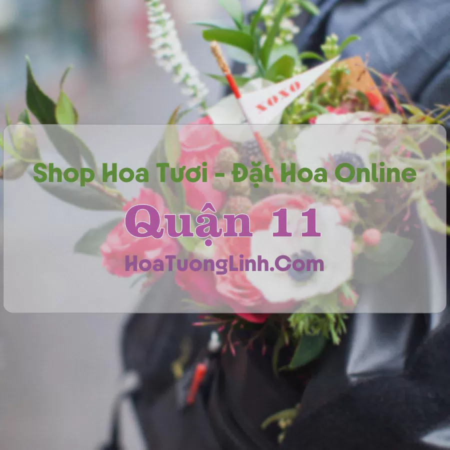 Shop Hoa Tươi Quận 11 - TP.HCM