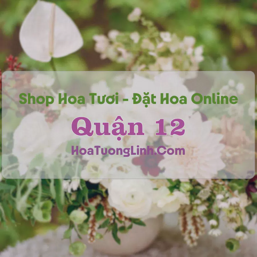Shop Hoa Tươi Quận 12 - TP.HCM