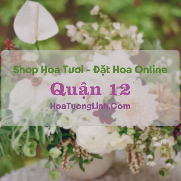 Shop Hoa Tươi Quận 12 - TP.HCM