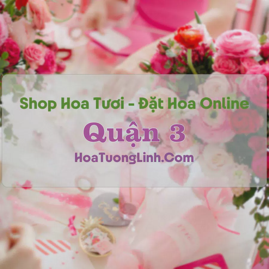 Shop Hoa Tươi Quận 3 - TP.HCM