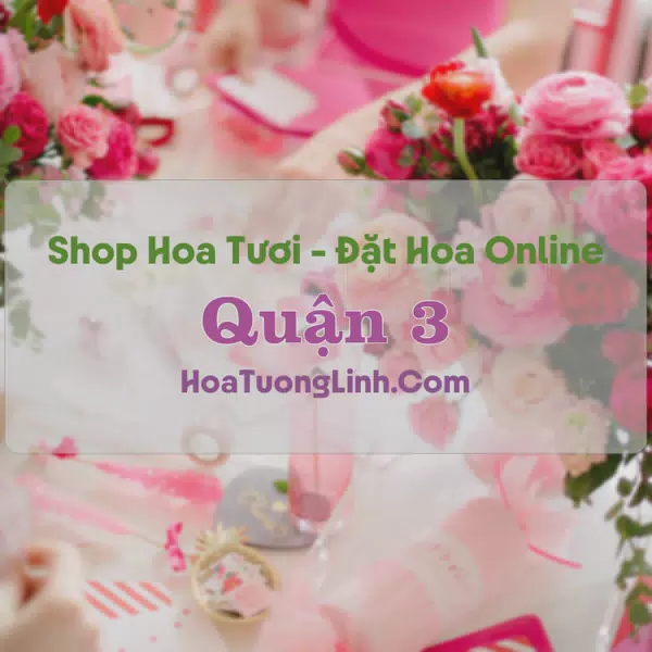 Shop Hoa Tươi Quận 3 - TP.HCM