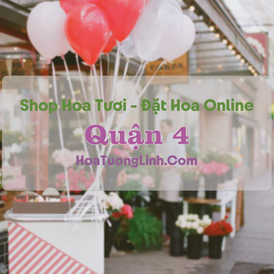 Shop Hoa Tươi Quận 4 - TP.HCM