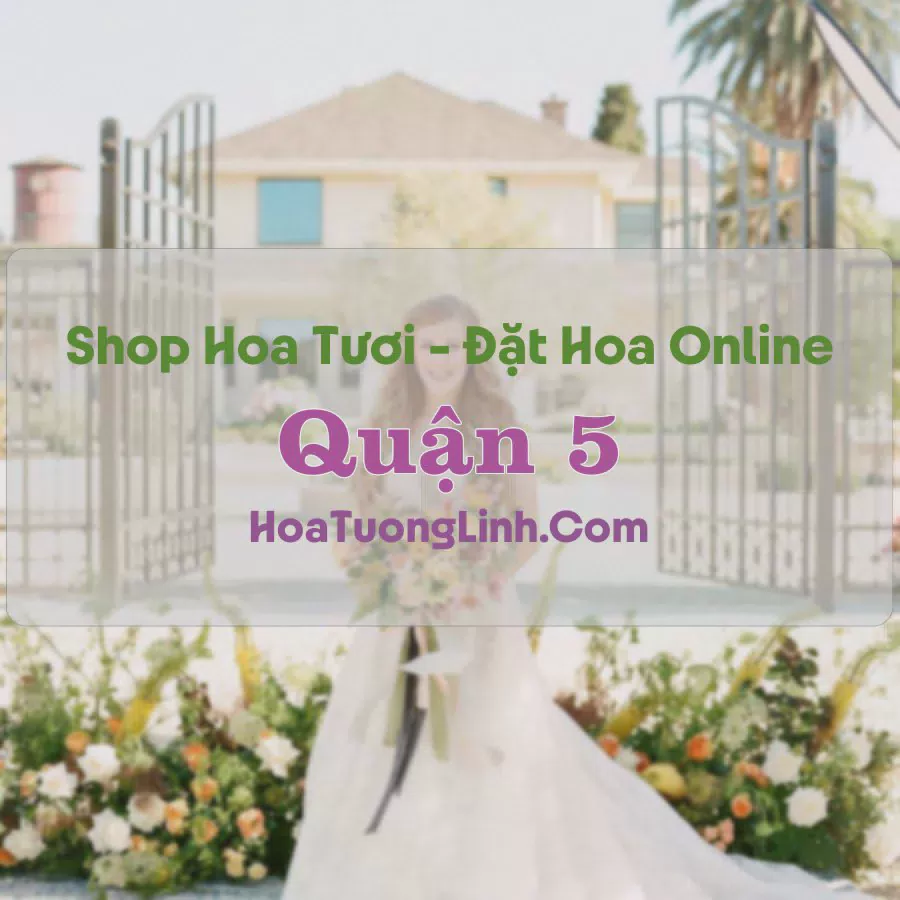 Shop Hoa Tươi Quận 5 - TP.HCM