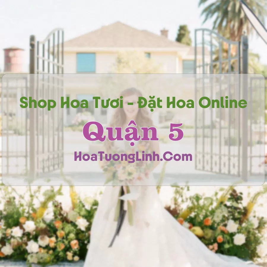 Shop Hoa Tươi Quận 5 – TP.HCM