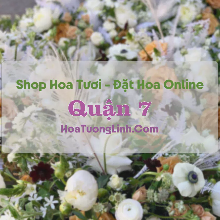 Shop Hoa Tươi Quận 7 - TP.HCM
