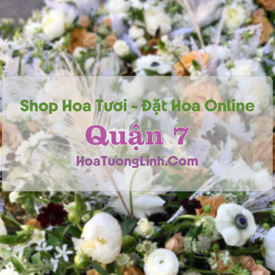 Shop Hoa Tươi Quận 7 – TP.HCM