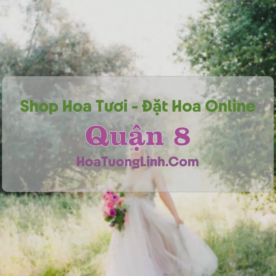 Shop Hoa Tươi Quận 8 - TP.HCM