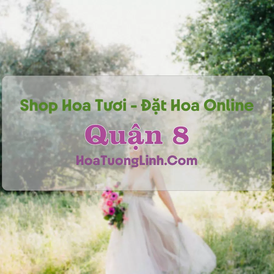 Shop Hoa Tươi Quận 8 – TP.HCM