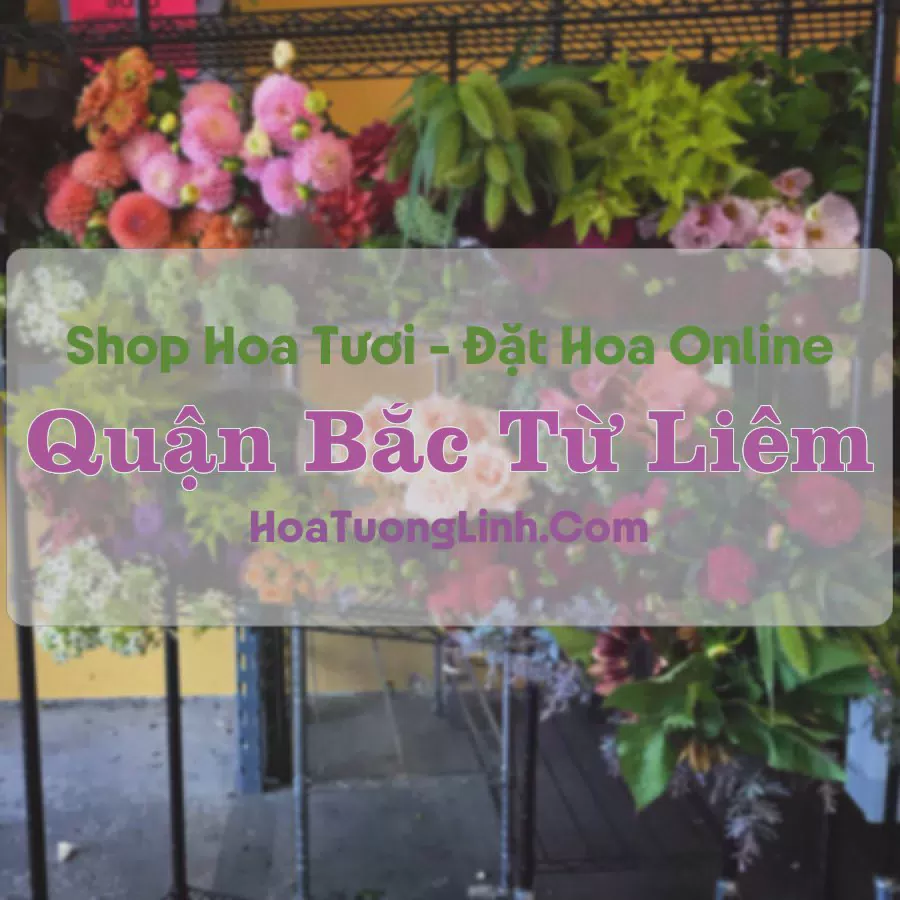 Shop Hoa Tươi Quận Bắc Từ Liêm - Hà Nội