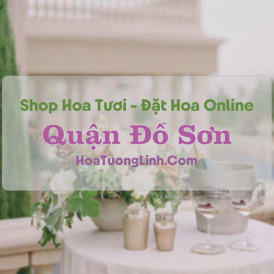 Shop Hoa Tươi Quận Đồ Sơn - Hải Phòng