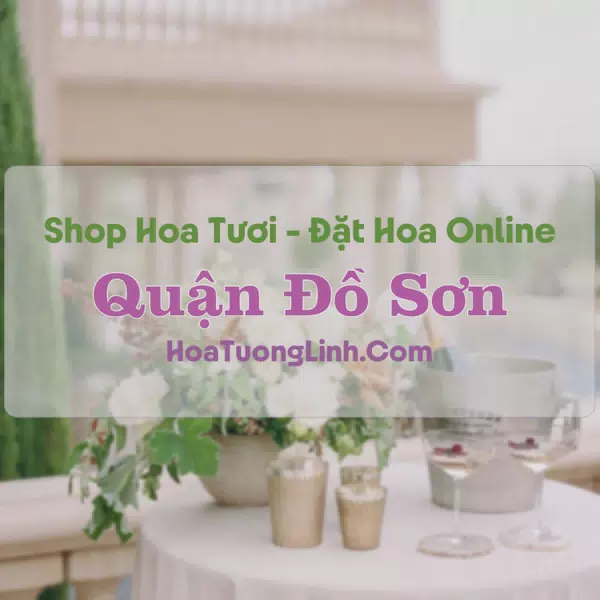 Shop Hoa Tươi Quận Đồ Sơn - Hải Phòng