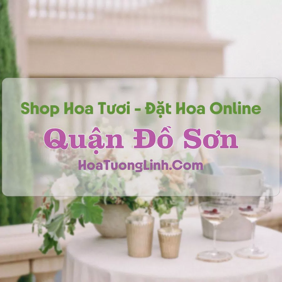 Shop Hoa Tươi Quận Đồ Sơn – Hải Phòng