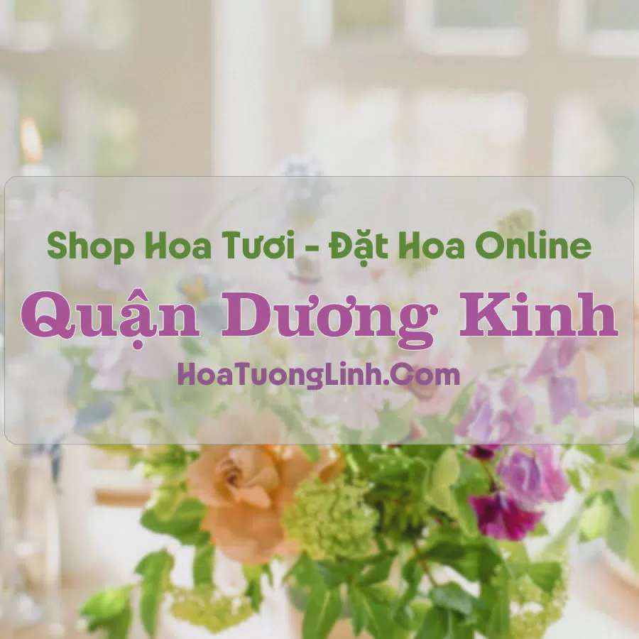 Shop Hoa Tươi Quận Dương Kinh - Hải Phòng