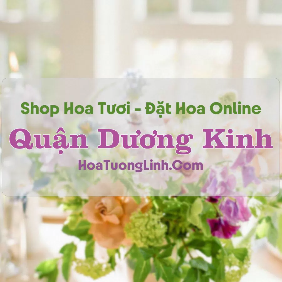 Shop Hoa Tươi Quận Dương Kinh – Hải Phòng