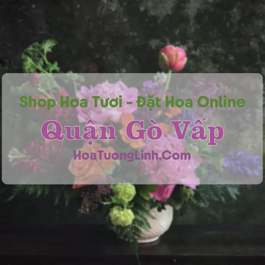 Shop Hoa Tươi Quận Gò Vấp - TP.HCM