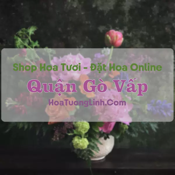 Shop Hoa Tươi Quận Gò Vấp - TP.HCM