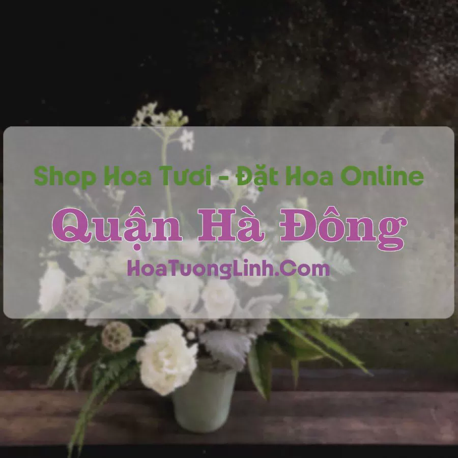 Shop Hoa Tươi Quận Hà Đông - Hà Nội