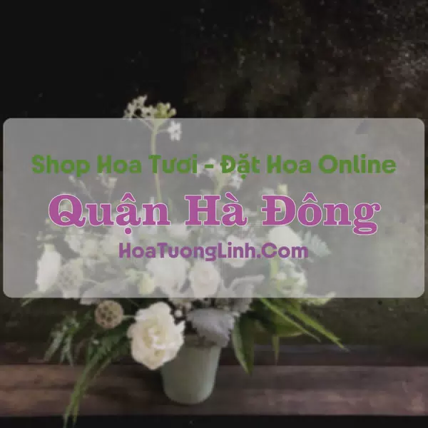 Shop Hoa Tươi Quận Hà Đông - Hà Nội