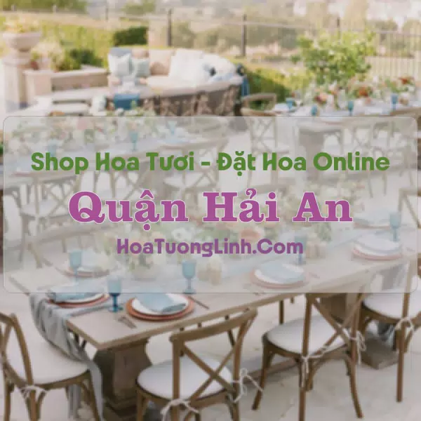 Shop Hoa Tươi Quận Hải An - Hải Phòng