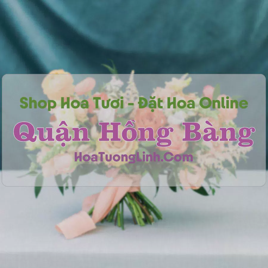Shop Hoa Tươi Quận Hồng Bàng - Hải Phòng