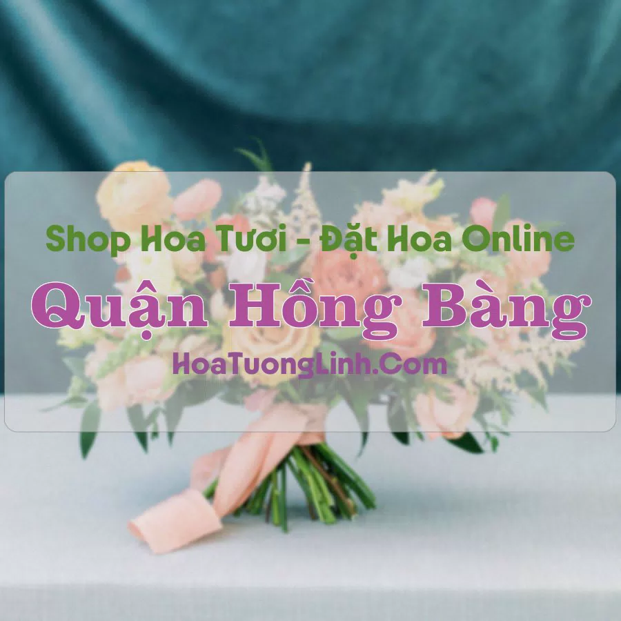 Shop Hoa Tươi Quận Hồng Bàng – Hải Phòng