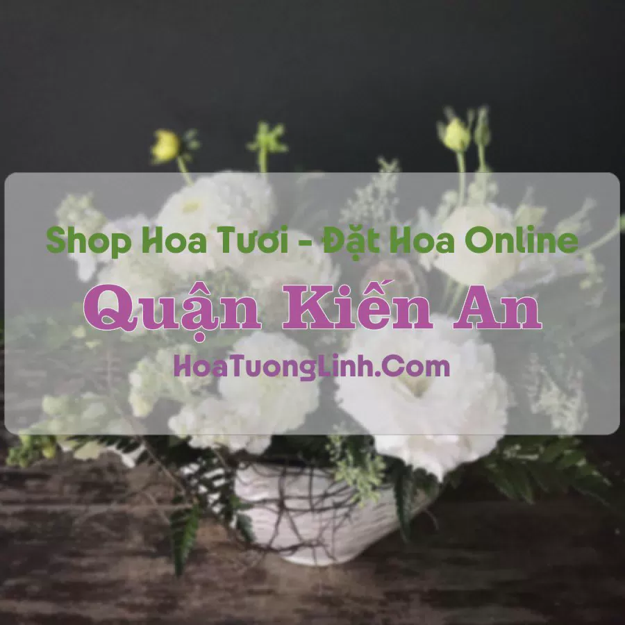 Shop Hoa Tươi Quận Kiến An - Hải Phòng