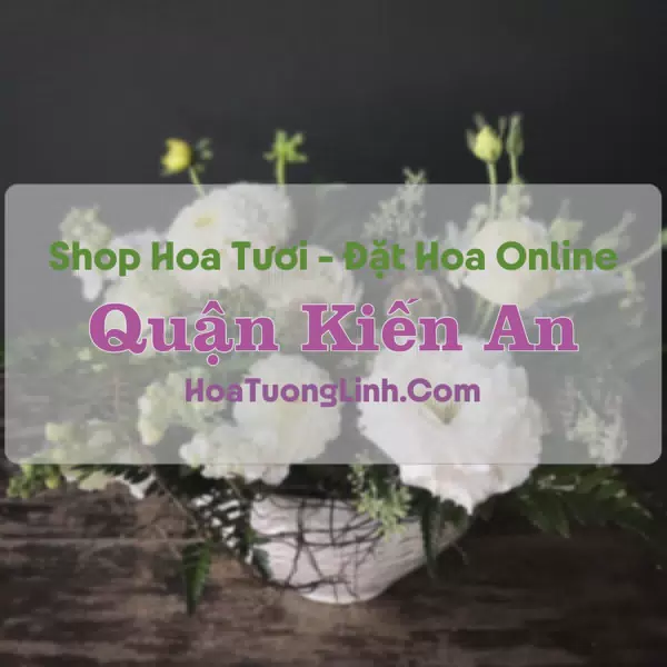 Shop Hoa Tươi Quận Kiến An - Hải Phòng