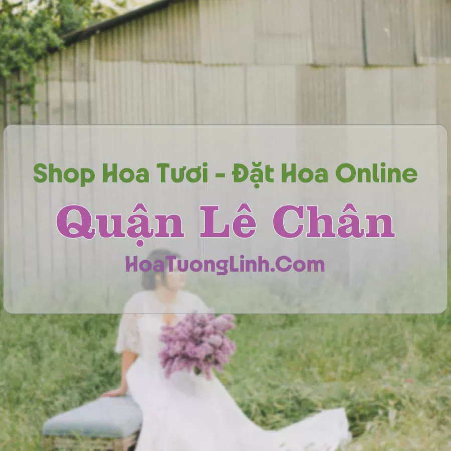 Shop Hoa Tươi Quận Lê Chân - Hải Phòng