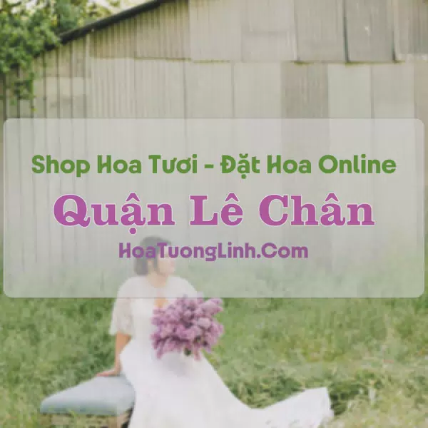 Shop Hoa Tươi Quận Lê Chân - Hải Phòng