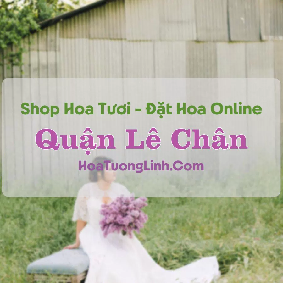 Shop Hoa Tươi Quận Lê Chân – Hải Phòng