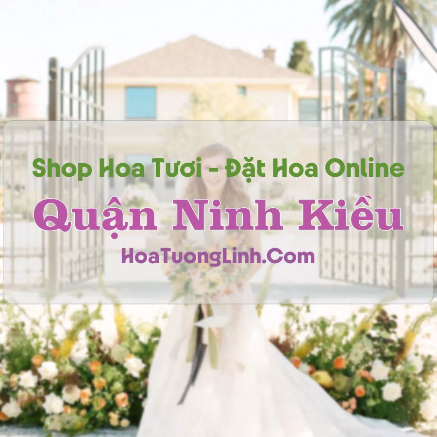Shop Hoa Tươi Quận Ninh Kiều – Cần Thơ
