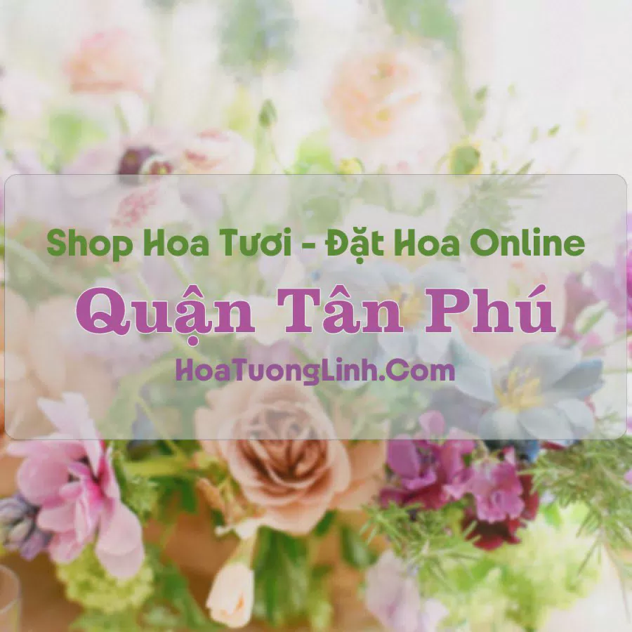 Shop Hoa Tươi Quận Tân Phú - TP.HCM