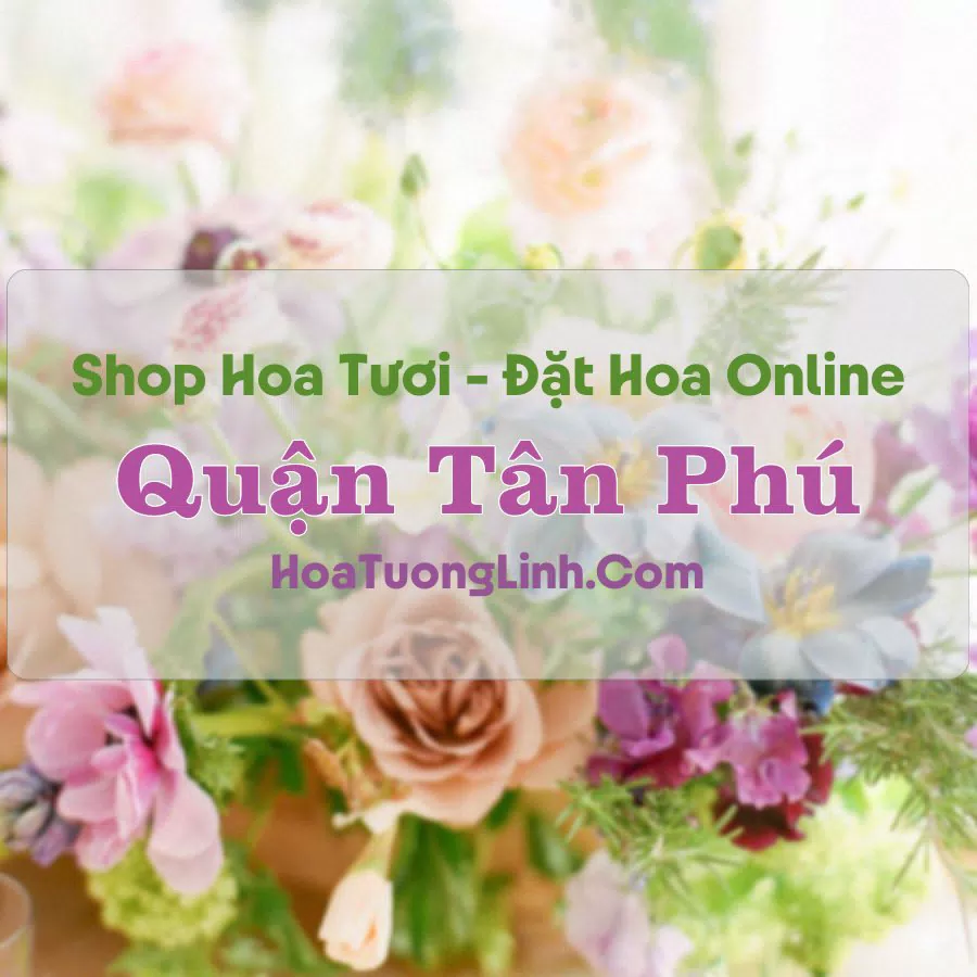 Shop Hoa Tươi Quận Tân Phú – TP.HCM