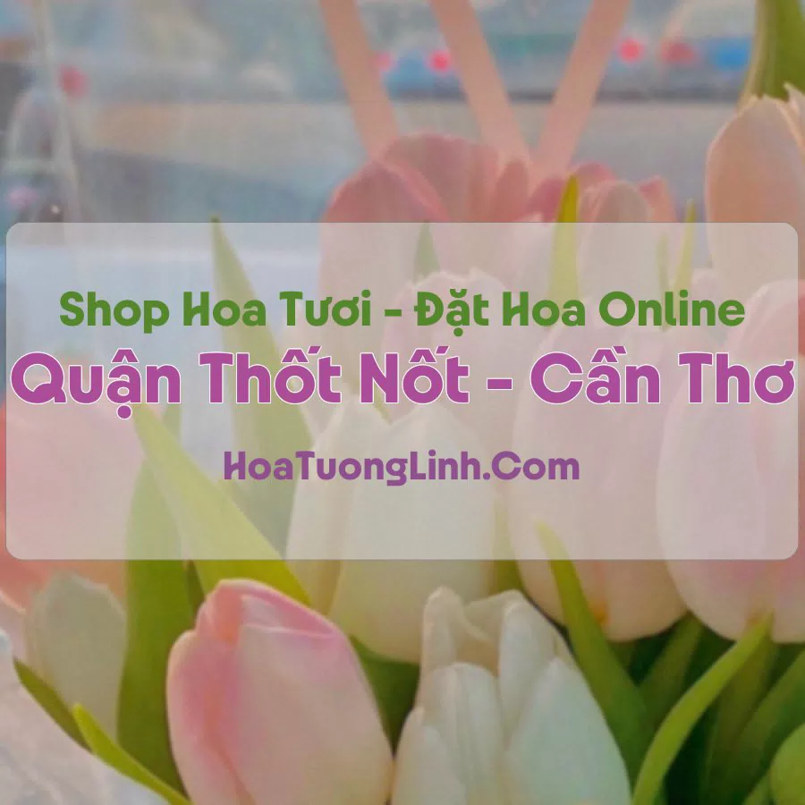 Shop Hoa Tươi Quận Thốt Nốt, Cần Thơ – Điện Hoa Tận Nơi