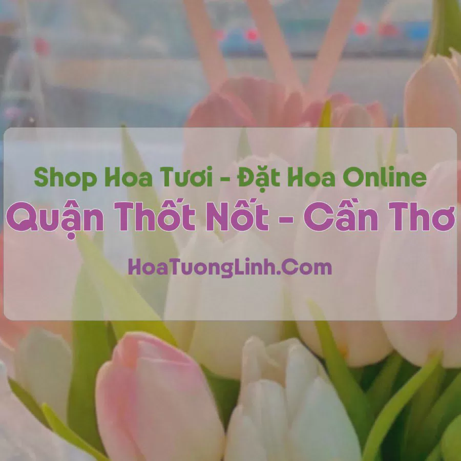 Shop Hoa Tươi Quận Thốt Nốt, Cần Thơ - Điện Hoa Tận Nơi