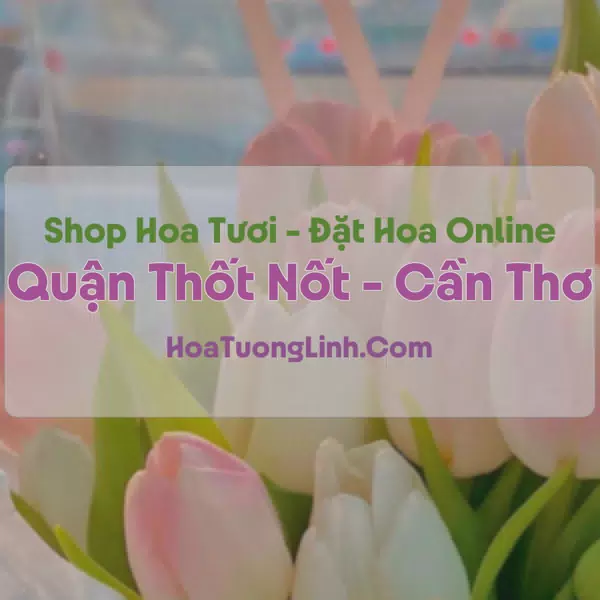 Shop Hoa Tươi Quận Thốt Nốt, Cần Thơ - Điện Hoa Tận Nơi