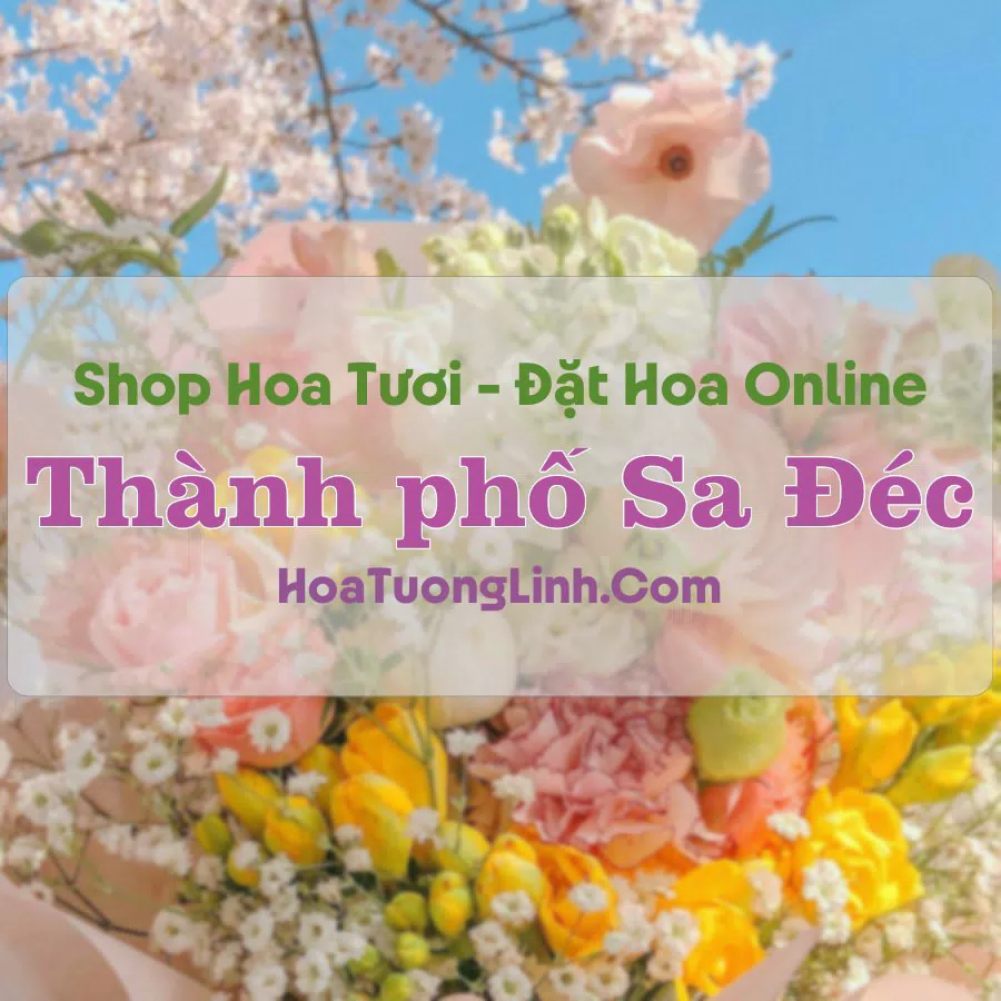 Shop Hoa Tươi Thành Phố Sa Đéc – Đồng Tháp