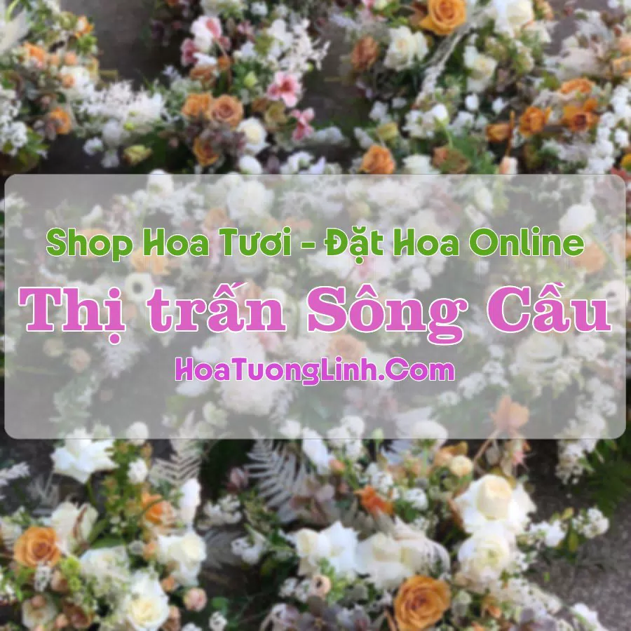 Shop Hoa Tươi Sông Cầu – Đồng Hỷ, Thái Nguyên