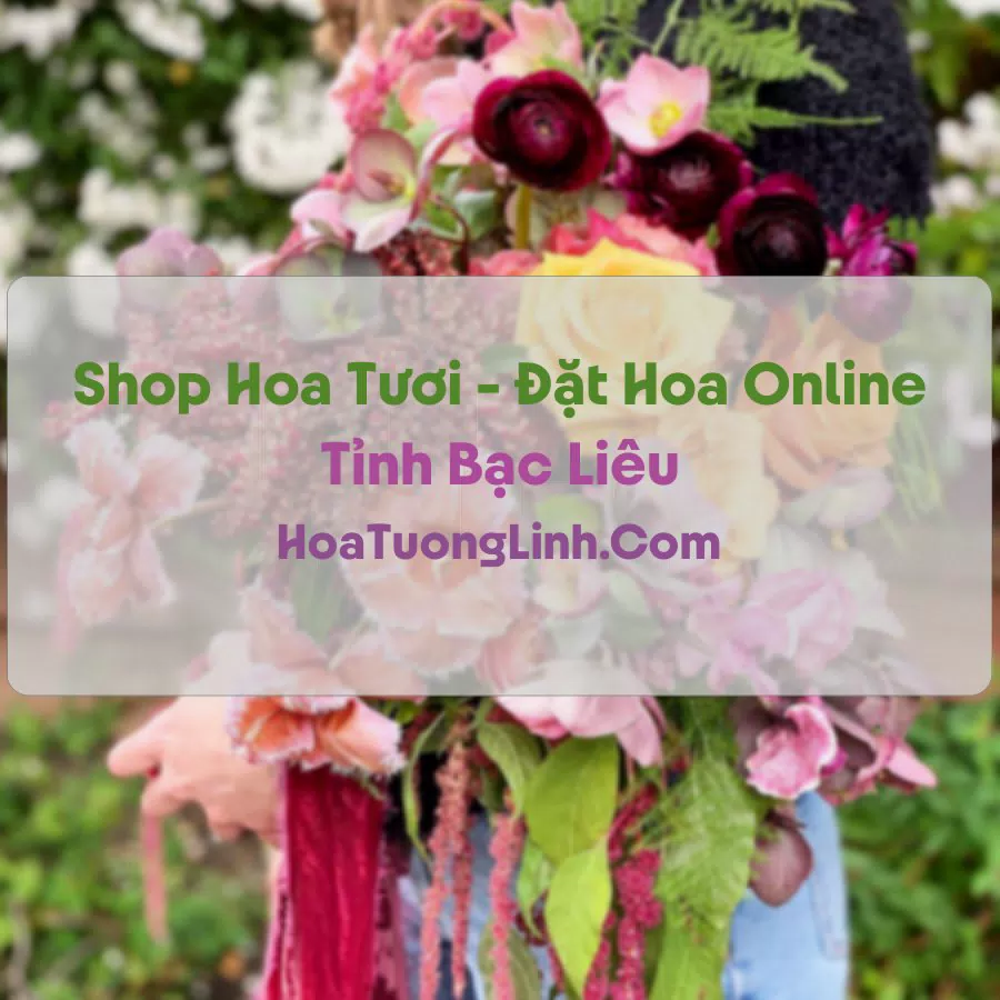 Shop Hoa Tươi Tại Bạc Liêu - Điện Hoa Tận Nơi