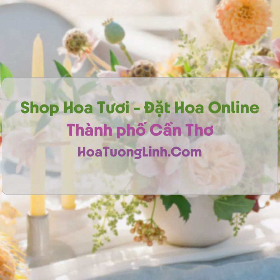 Shop Hoa Tươi Tại Cần Thơ - Điện Hoa Tận Nơi