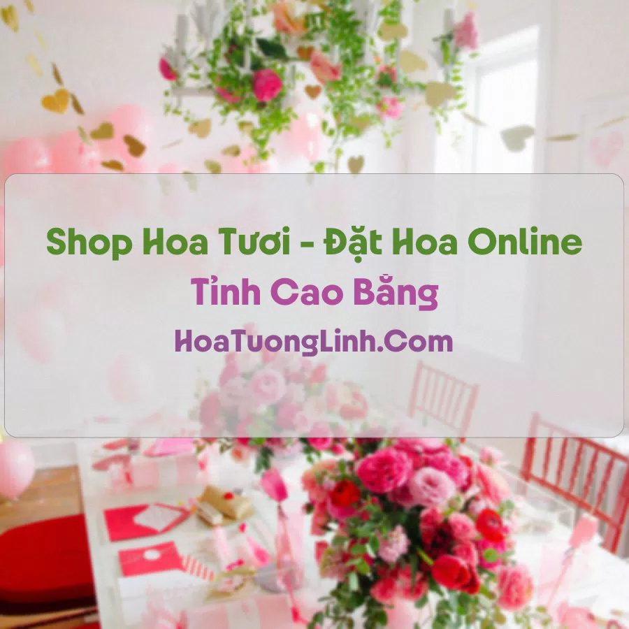Shop Hoa Tươi Tại Cao Bằng - Điện Hoa Tận Nơi