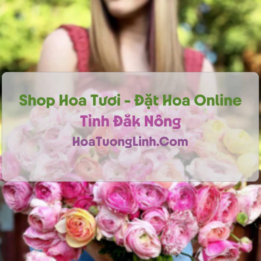 Shop Hoa Tươi Tại Đắk Nông - Điện Hoa Tận Nơi