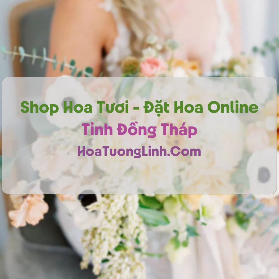 Shop Hoa Tươi Tại Đồng Tháp - Điện Hoa Tận Nơi