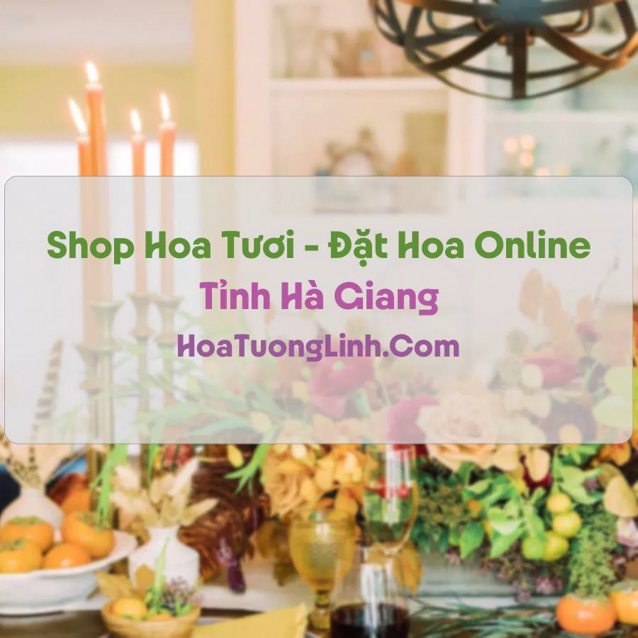 Shop Hoa Tươi Tại Hà Giang - Điện Hoa Tận Nơi